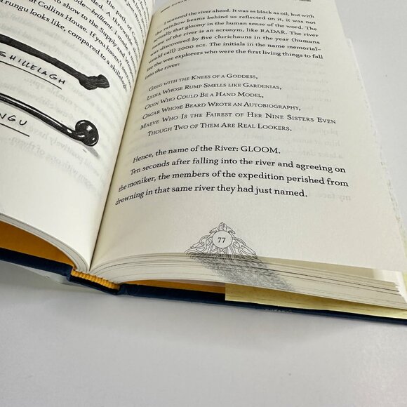 2/$6 Ronan Boyle and the Swamp of Certain Death book (Hardcover) - Picture 6 of 9